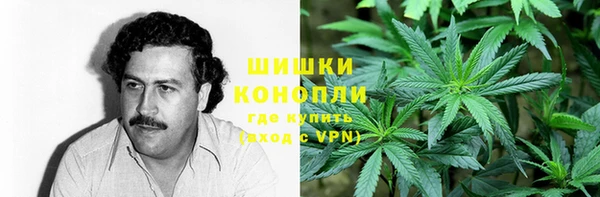 кокс Богородицк