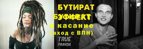 прущие грибы Ростов