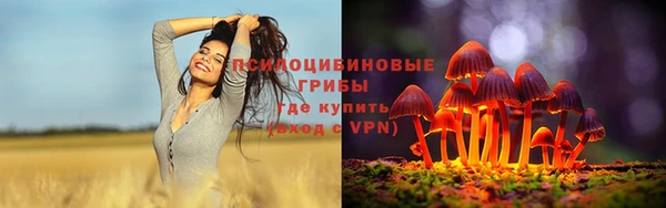 соль курить ск Богородск