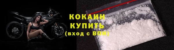 кокс Богородицк
