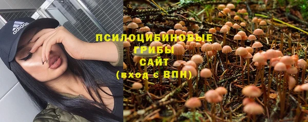 кокаин колумбия Богданович